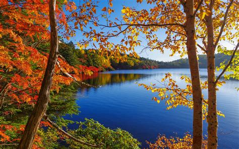 Fonds d'écran Automne, lac, arbres, forêt, ciel 1920x1440 HD image