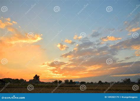 Golden Light on Sky during Sunset in the Evening. Stock Image - Image of plant, farmland: 109282179