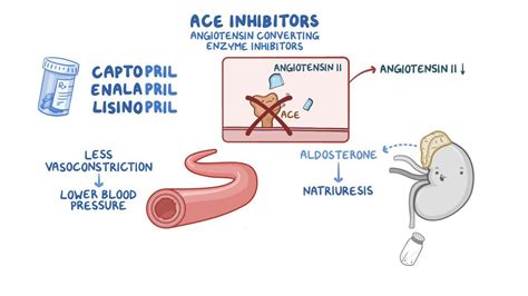 ACE inhibitors, ARBs and direct renin inhibitors | Osmosis