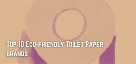 Top 10 Eco-friendly Toilet Paper brands | Ethically Engineered