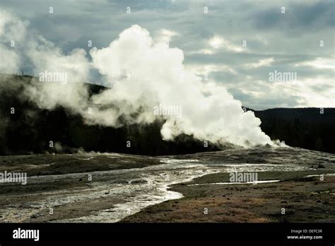 Old Faithful- morning eruption Stock Photo - Alamy