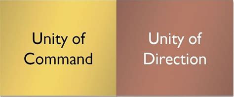 Difference Between Unity of Command and Unity of Direction (with Comparison Chart) - Key Differences