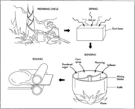 How chewing gum is made - manufacture, making, history, used, procedure, industry, machine, Raw ...