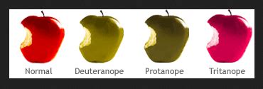 The Types of Colour Blindness - Healthy Eyes