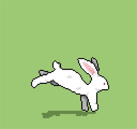 Rabbit Run Gif
