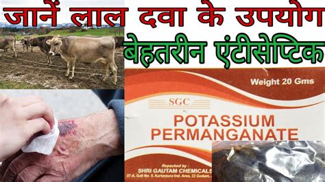 Potassium Permanganate Uses in Hindi || लाल दवा के उपयोग || - YouTube