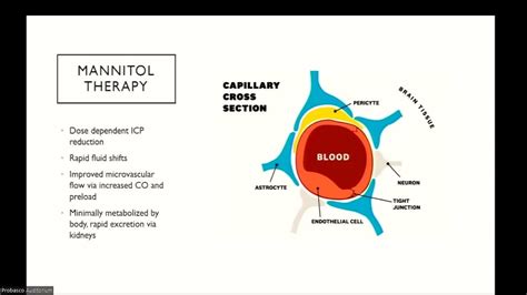 Cerebral Edema and Hyperosmolar Therapy - YouTube