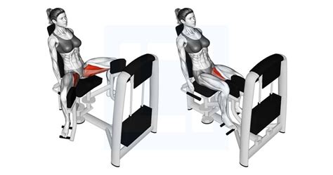 Lever Seated Hip Adduction - Guide, Benefits, and Form