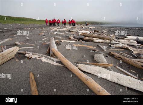 Tourists explore St Matthew Island, Alaska Stock Photo - Alamy