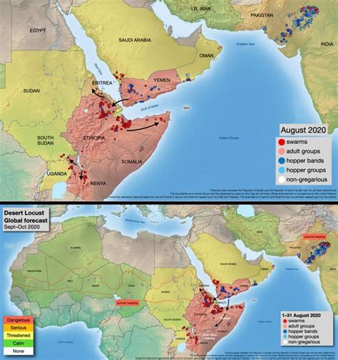 Locust PLAGUE threatens Africa: UN warns 7 million people at risk from ...