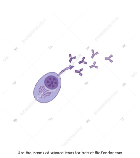 Free Plasma cell with antibodies 2 Icons, Symbols & Images | BioRender