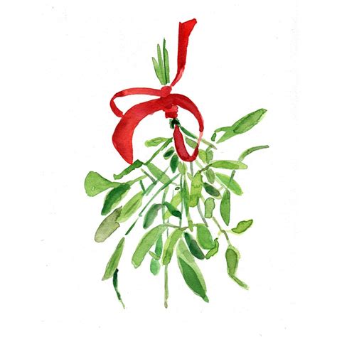 How To Draw Mistletoe - Cliparts.co