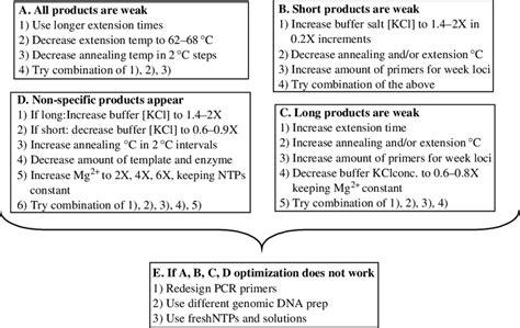 Multiplex PCR optimization guidelines suggested by Henegariu et. al ...