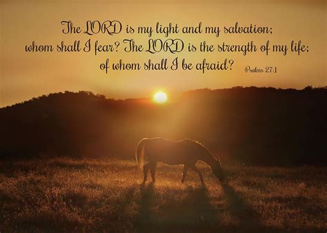 Pin by sarah farmer on Bible Blessings and Quotes! | Psalms, Bible ...