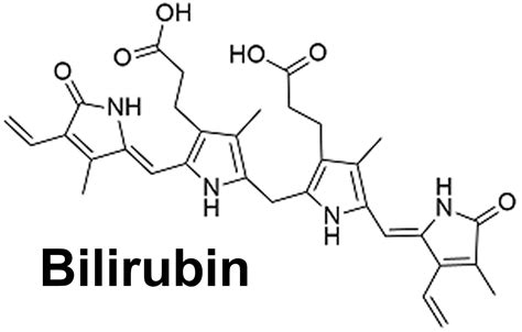 Bilirubin types, bilirubin levels chart and causes of high bilirubin levels