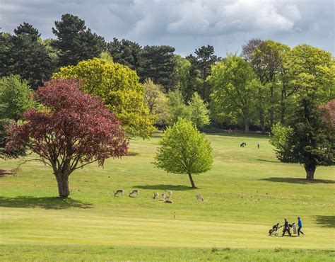 Thomas Glancz - Wollaton Park Golf Club