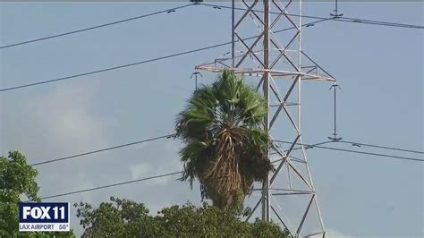 Power outages across the Southland due to strong winds has cut electricity to hundreds of ...