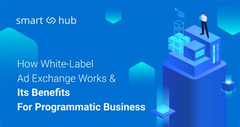 Benefits of Using the White Label Solution in Programmatic Business