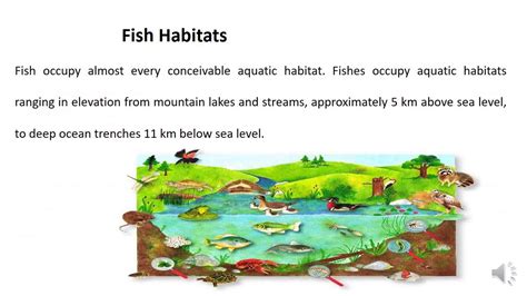 Ecology of Fishes - YouTube