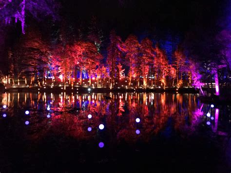 The Wonders of Autumn in Pitlochry’s Enchanted Forest | VisitScotland