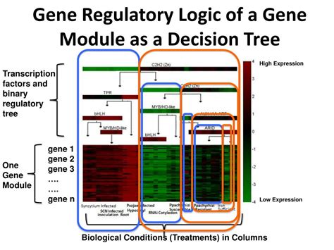 PPT - Reconstruction of Gene Regulatory Networks from RNA-Seq Data PowerPoint Presentation - ID ...