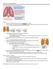 Lecture 2 - Lower Respiratory.docx - Lecture 2 - Lower Respiratory The Lower Respiratory Tract ...