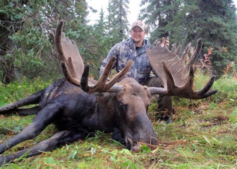 Alaska Moose Hunting Guides - Hidden Alaska Guides and Outfitters