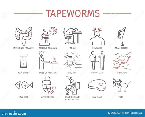 Tapeworms Cartoons, Illustrations & Vector Stock Images - 88 Pictures to download from ...