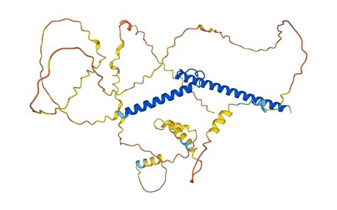 C-MYC Protein Insight May Lead to Novel Cancer Treatments | Mirage News