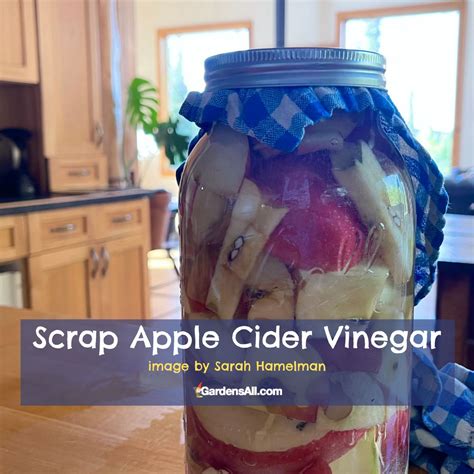 How to Make Homemade Apple Cider Vinegar - GardensAll