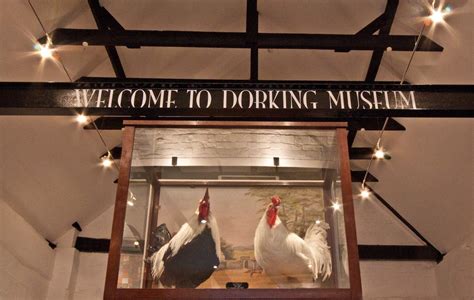 Visit - Dorking Museum & Heritage Centre