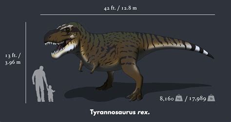 Tyrannosaurus Rex Size Chart (1) | Images :: Behance