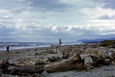 Haast, New Zealand | Wiki | Everipedia