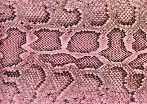 Pink Snakeskin HD wallpaper | Pxfuel