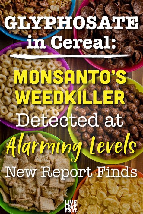 LIST: Cereals and Snack Bars Contain Weedkiller at Unsafe Levels, Report Says | Snacks, Food ...