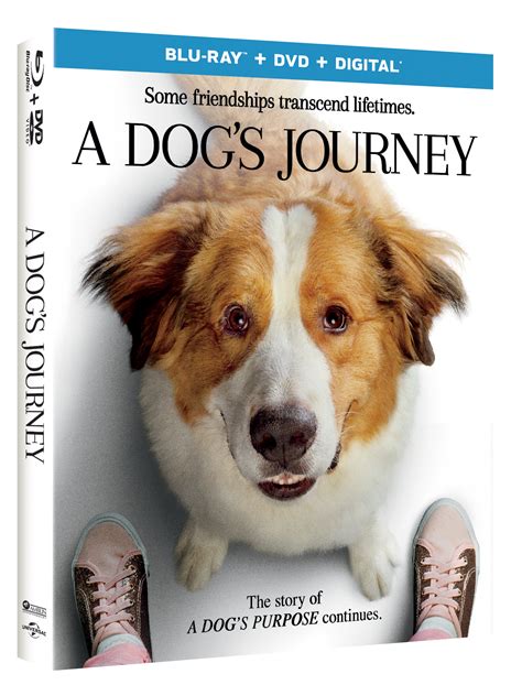 A Dog's Journey - Life With Kathy