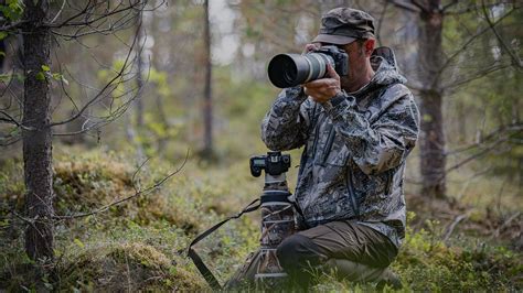 Wildlife photography with the Canon EOS 90D - Canon UK