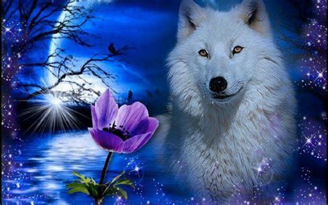 🔥 [45+] Cool Wolf Wallpapers | WallpaperSafari