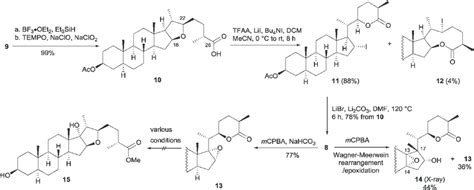 Scheme 2 Synthesis of the aglycon of aspafiliosides E and F by the... | Download Scientific Diagram