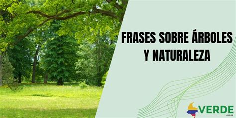 Frases sobre árboles y naturaleza - Colombia Verde