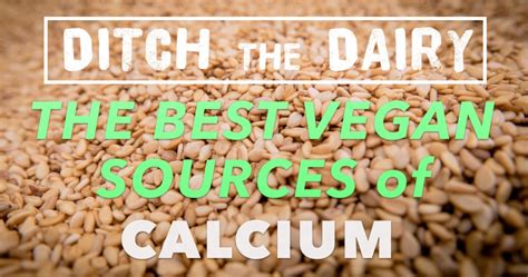 Ditch the Dairy: The Best Vegan Sources of Calcium - Holistic Health for Life