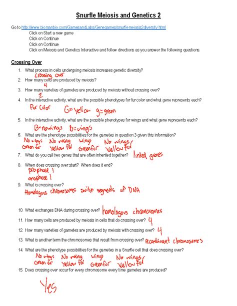 Bioman+Snurfle+Meiosis+and+Genetics+2+Worksheet+%281%29 - Snurfle Meiosis and Genetics 2 Go to ...