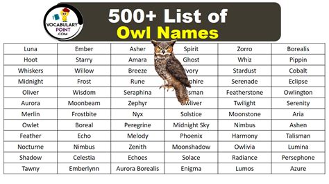 500+ Best Owl Names (Cute, Funny & Fantasy) - Vocabulary Point