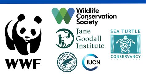 Organizations dedicated to animal conservation worth knowing