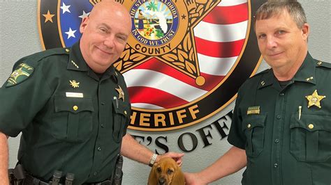 Santa Rosa County Sheriff's Office names new K9 after retiring chief deputy