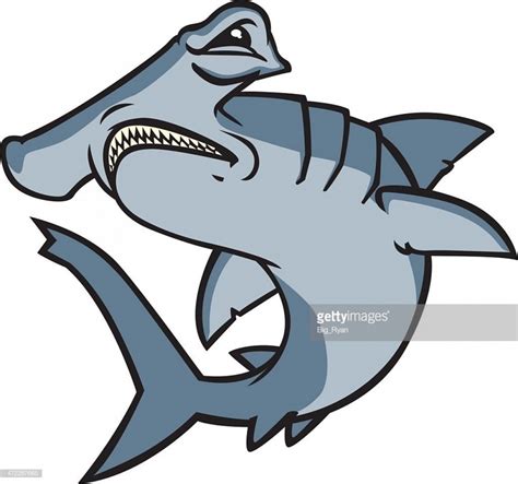 Hammerhead Shark Vector at Vectorified.com | Collection of Hammerhead Shark Vector free for ...