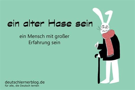 ein alter Hase sein - deutsche Redewendungen / 01 - Wortschatzbilder