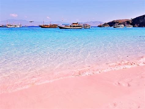 Paint your world Pink at Pink Beach Komodo Island - The Curated Travelist