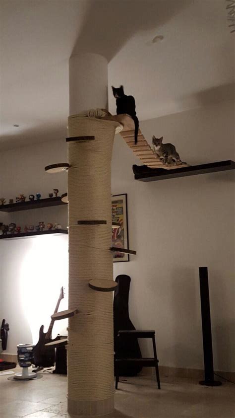 We build a cat climbing wall that our house cats can retreat when we got a lot of visit. : r/cats