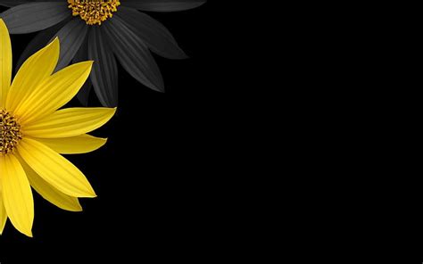 Yellow And Black Flower Hd Wallpaper | Best Flower Site